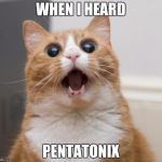 scared cat | WHEN I HEARD PENTATONIX | image tagged in scared cat,music,amazing,pentatonix | made w/ Imgflip meme maker