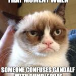Grumpy Cat Reverse | THAT MOMENT WHEN SOMEONE CONFUSES GANDALF WITH DUMBLEDORE | image tagged in memes,grumpy cat reverse,grumpy cat | made w/ Imgflip meme maker