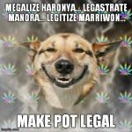 Stoner Dog | image tagged in memes,stoner dog | made w/ Imgflip meme maker