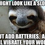 Rape sloth | I MIGHT LOOK LIKE A SLOTH BUT ADD BATTERIES, 
AND I'LL VIBRATE YOUR WORLD | image tagged in creeper sloth | made w/ Imgflip meme maker