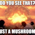 Oh Sh** | DO YOU SEE THAT? ITS JUST A MUSHROOM, JOE. | image tagged in fallout nuke | made w/ Imgflip meme maker
