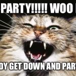 Party time baby!! | LETS PARTY!!!!! WOO HOO! EVERYBODY GET DOWN AND PARTY PARTY | image tagged in party animal,party time,woo hoo,fun fun,party hard | made w/ Imgflip meme maker
