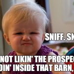 Stinky Perfume | SNIFF. SNIFF. I'M NOT LIKIN' THE PROSPECTS OF GOIN' INSIDE THAT BARN,  PAW | image tagged in stinky perfume | made w/ Imgflip meme maker