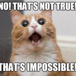 scared cat | NO! THAT'S NOT TRUE! THAT'S IMPOSSIBLE! | image tagged in scared cat | made w/ Imgflip meme maker