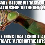 who knows? | BABY, BEFORE WE TAKE THIS RELATIONSHIP TO THE NEXT LEVEL I REALLY THINK THAT I SHOULD AT LEAST INVESTIGATE "ALTERNATIVE LIFESTYLES" | image tagged in mantis alt | made w/ Imgflip meme maker