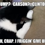 I Give Up Cat | TRUMP?   CARSON?   CLINTON? AH, CRAP. I FRIGGIN' GIVE UP. | image tagged in i give up cat | made w/ Imgflip meme maker