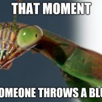 This one probably sucks, but, hey. Mantis memes work. | THAT MOMENT WHEN SOMEONE THROWS A BLUE SHELL | image tagged in memes,mantis | made w/ Imgflip meme maker