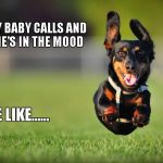 To quote Bruce Hornsby..."That's just the way it is, some things will never change." | WHEN MY BABY CALLS AND SAYS SHE'S IN THE MOOD I BE LIKE...... | image tagged in dog running,funny,dogs,funny animals,funny dogs | made w/ Imgflip meme maker