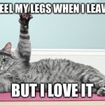 Exercise cat | I CAN'T FEEL MY LEGS WHEN I LEAVE BARRE BUT I LOVE IT | image tagged in exercise cat | made w/ Imgflip meme maker