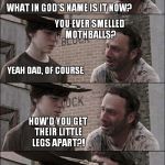 the walking dead coral | HEY CORAL... HOW'D YOU GET THEIR LITTLE LEGS APART, CORAL? WHAT IN GOD'S NAME IS IT NOW? YOU EVER SMELLED MOTHBALLS? YEAH DAD, OF COURSE HOW | image tagged in the walking dead coral | made w/ Imgflip meme maker
