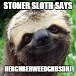 Stoner Sloth | STONER SLOTH SAYS HERGHBERWEEDGHBSDHJ | image tagged in stoner sloth | made w/ Imgflip meme maker
