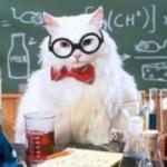 Science Cat (wider version) meme