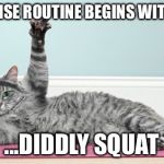 Exercise cat | MY EXERCISE ROUTINE BEGINS WITH SQUAT... ...DIDDLY SQUAT | image tagged in exercise cat | made w/ Imgflip meme maker