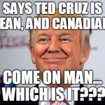 We all know its impossible to be both! | SAYS TED CRUZ IS MEAN, AND CANADIAN... COME ON MAN... WHICH IS IT??? | image tagged in donald trump approves,memes | made w/ Imgflip meme maker