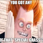 Syndrome is Tired of the Crud | YOU GOT ANY; OF THAT "SPECIAL GRASS"? | image tagged in syndrome is tired of the crud | made w/ Imgflip meme maker