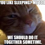 Flirtatious Cat | YOU LIKE SLEEPING? ME TOO! WE SHOULD DO IT TOGETHER SOMETIME. | image tagged in flirtatious cat | made w/ Imgflip meme maker