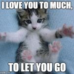 I love you this much  | I LOVE YOU TO MUCH, TO LET YOU GO | image tagged in i love you this much | made w/ Imgflip meme maker