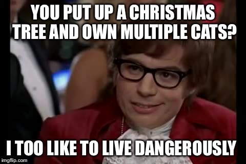 I Too Like To Live Dangerously | YOU PUT UP A CHRISTMAS TREE AND OWN MULTIPLE CATS? I TOO LIKE TO LIVE DANGEROUSLY | image tagged in memes,i too like to live dangerously,americanpenguin | made w/ Imgflip meme maker
