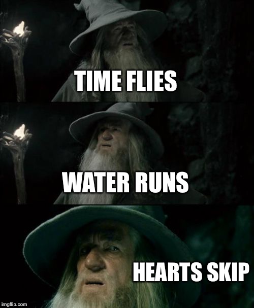 Deep Thoughts
(A deep quote from Butch Hartman) | TIME FLIES; WATER RUNS; HEARTS SKIP | image tagged in memes,confused gandalf,time,quote,deep thoughts | made w/ Imgflip meme maker
