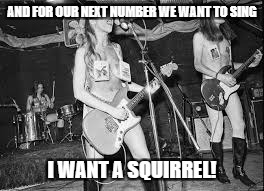 AND FOR OUR NEXT NUMBER WE WANT TO SING I WANT A SQUIRREL! | made w/ Imgflip meme maker