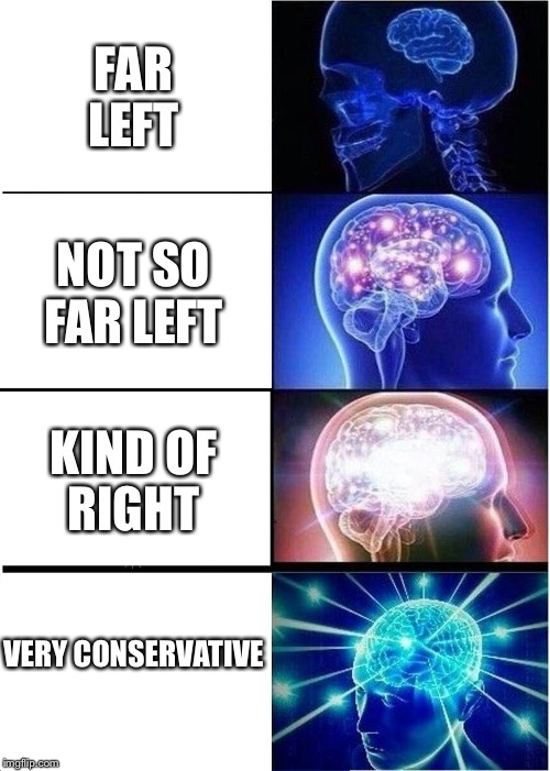 Just My Opinion | FAR LEFT; NOT SO FAR LEFT; KIND OF RIGHT; VERY CONSERVATIVE | image tagged in memes,expanding brain,politics | made w/ Imgflip meme maker
