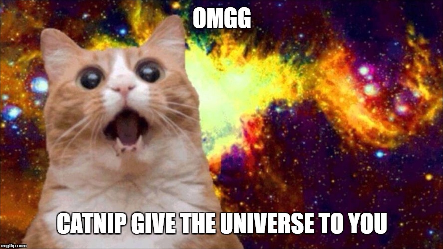 Catnip gives you the universe | OMGG; CATNIP GIVE THE UNIVERSE TO YOU | image tagged in mlg cat,dogg,sup,universe | made w/ Imgflip meme maker