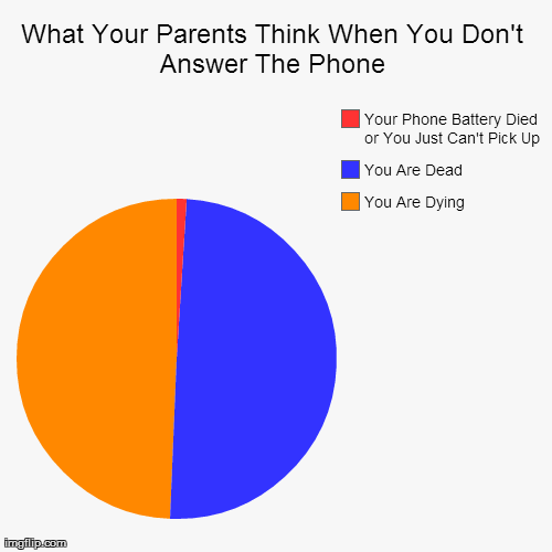 What Your Parents Think When You Don't Answer The Phone | You Are Dying , You Are Dead, Your Phone Battery Died or You Just Can't Pick Up | image tagged in funny,pie charts | made w/ Imgflip chart maker