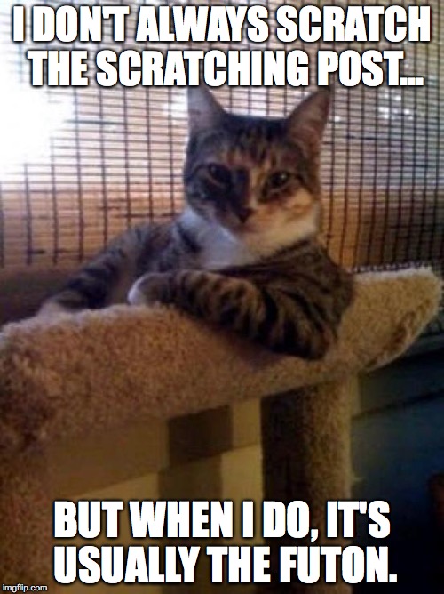 Stay scratching, my friends... | I DON'T ALWAYS SCRATCH THE SCRATCHING POST... BUT WHEN I DO, IT'S USUALLY THE FUTON. | image tagged in memes,the most interesting cat in the world | made w/ Imgflip meme maker