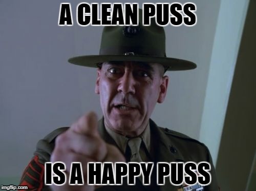 A CLEAN PUSS IS A HAPPY PUSS | made w/ Imgflip meme maker