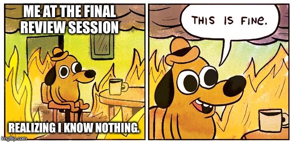 Finals are Hell  | ME AT THE FINAL REVIEW SESSION; REALIZING I KNOW NOTHING. | image tagged in this is fine dog,finals,help,exams,screwed | made w/ Imgflip meme maker