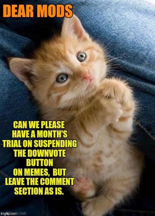 Please upvote to help convince the Mods to give the removal of downvotes a go.  Down With Downvotes Weekend Dec 8-10th. | DEAR MODS; CAN WE PLEASE HAVE A MONTH'S TRIAL ON SUSPENDING THE DOWNVOTE BUTTON ON MEMES, 
BUT LEAVE THE COMMENT SECTION AS IS. | image tagged in memes,down with downvotes weekend,imgflip,imgflip unite,imgflip users,downvotes | made w/ Imgflip meme maker