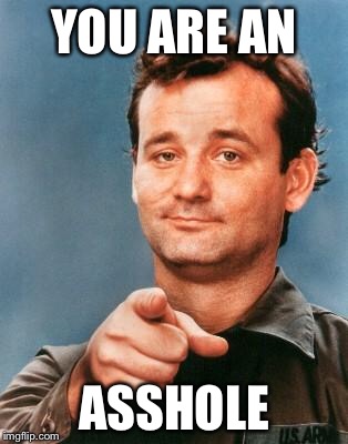 Bill Murray You're Awesome | YOU ARE AN; ASSHOLE | image tagged in bill murray you're awesome | made w/ Imgflip meme maker