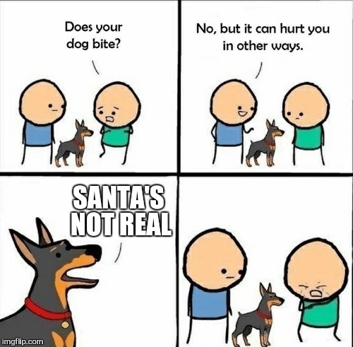 Ho ho ho | SANTA'S NOT REAL | image tagged in does your dog bite,christmas memes,memes,bad pun dog,xmas,funny | made w/ Imgflip meme maker