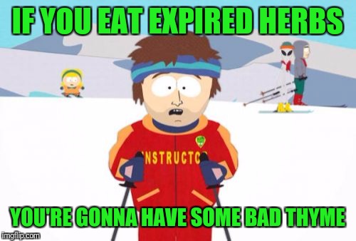Super Cool Ski Instructor | IF YOU EAT EXPIRED HERBS; YOU'RE GONNA HAVE SOME BAD THYME | image tagged in memes,super cool ski instructor | made w/ Imgflip meme maker
