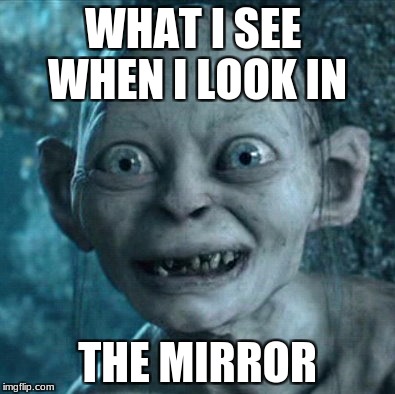 Gollum Meme | WHAT I SEE  WHEN I LOOK IN; THE MIRROR | image tagged in memes,gollum | made w/ Imgflip meme maker