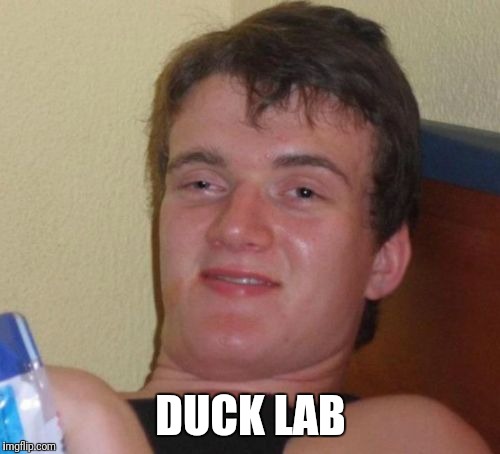 DUCK LAB | image tagged in memes,10 guy | made w/ Imgflip meme maker