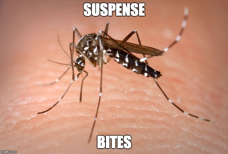 mosquito  | SUSPENSE; BITES | image tagged in mosquito | made w/ Imgflip meme maker