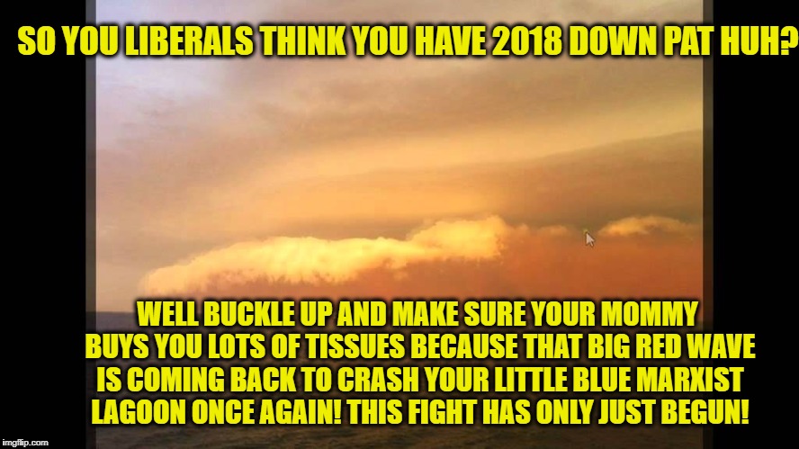 SO YOU LIBERALS THINK YOU HAVE 2018 DOWN PAT HUH? WELL BUCKLE UP AND MAKE SURE YOUR MOMMY BUYS YOU LOTS OF TISSUES BECAUSE THAT BIG RED WAVE IS COMING BACK TO CRASH YOUR LITTLE BLUE MARXIST LAGOON ONCE AGAIN! THIS FIGHT HAS ONLY JUST BEGUN! | image tagged in memes,republicans,democrats,2018,retarded liberal protesters,alabama | made w/ Imgflip meme maker