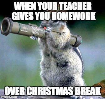 no, not homework! | WHEN YOUR TEACHER GIVES YOU HOMEWORK; OVER CHRISTMAS BREAK | image tagged in memes,bazooka squirrel | made w/ Imgflip meme maker