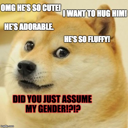 Doge | OMG HE'S SO CUTE! I WANT TO HUG HIM! HE'S ADORABLE. HE'S SO FLUFFY! DID YOU JUST ASSUME MY GENDER!?!? | image tagged in memes,doge | made w/ Imgflip meme maker