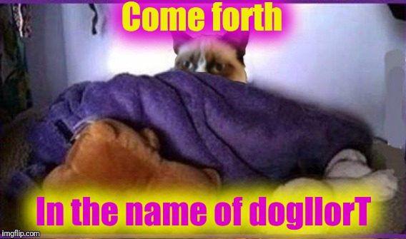 taclivE meets dogllorT | Come forth; In the name of dogllorT | image tagged in dogllort,making plans,making plans grumpy,taclive | made w/ Imgflip meme maker