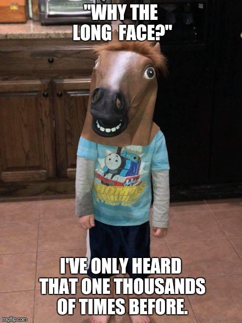 Long face | "WHY THE LONG  FACE?"; I'VE ONLY HEARD THAT ONE THOUSANDS OF TIMES BEFORE. | image tagged in horse,head,kid,ha,long,face | made w/ Imgflip meme maker