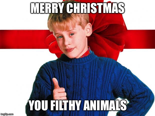 Home Alone | MERRY CHRISTMAS; YOU FILTHY ANIMALS | image tagged in home alone | made w/ Imgflip meme maker