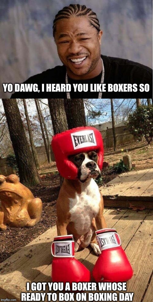 K-9 KO. | YO DAWG, I HEARD YOU LIKE BOXERS SO; I GOT YOU A BOXER WHOSE READY TO BOX ON BOXING DAY | image tagged in memes,boxer,boxing day | made w/ Imgflip meme maker