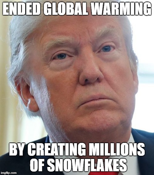 global warming over the era of snowflakes has begun | ENDED GLOBAL WARMING; BY CREATING MILLIONS OF SNOWFLAKES | image tagged in donald trump approves,loony liberals,funny memes | made w/ Imgflip meme maker
