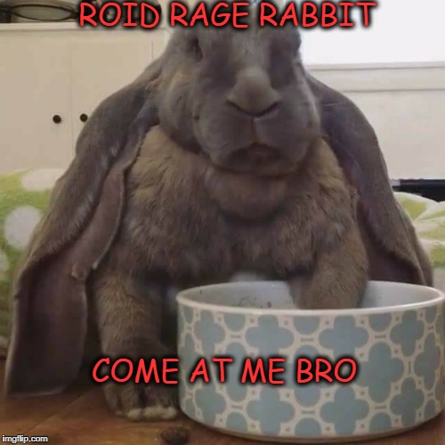 Roid Rage Rabbit  | ROID RAGE RABBIT; COME AT ME BRO | image tagged in roid rage rabbit,rabbit,steroids | made w/ Imgflip meme maker