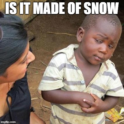 Third World Skeptical Kid Meme | IS IT MADE OF SNOW | image tagged in memes,third world skeptical kid | made w/ Imgflip meme maker
