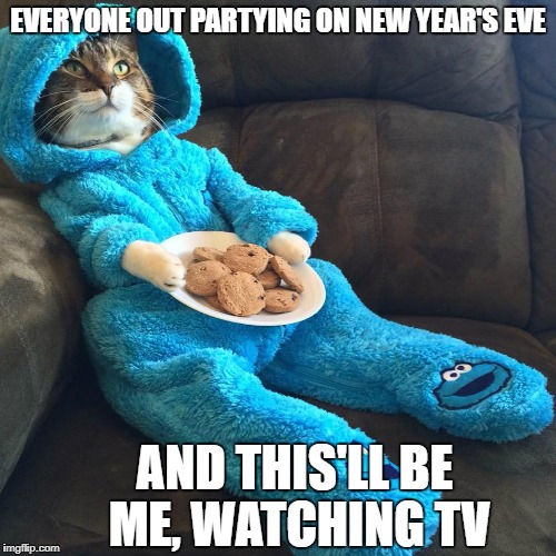 New Year's Eve at home | EVERYONE OUT PARTYING ON NEW YEAR'S EVE; AND THIS'LL BE ME, WATCHING TV | image tagged in cat's pajamas,couch,new year's eve | made w/ Imgflip meme maker