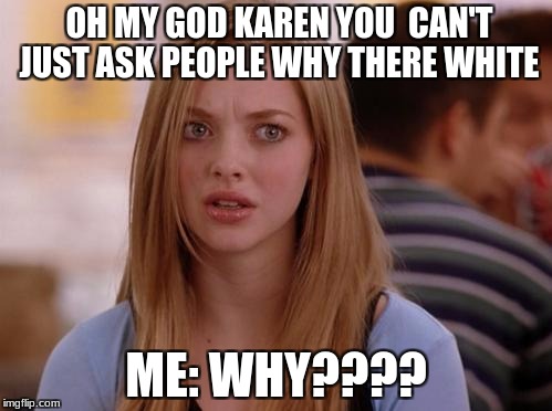 OMG Karen | OH MY GOD KAREN YOU  CAN'T JUST ASK PEOPLE WHY THERE WHITE; ME: WHY???? | image tagged in memes,omg karen | made w/ Imgflip meme maker