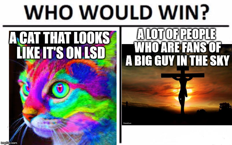 A CAT THAT LOOKS LIKE IT'S ON LSD A LOT OF PEOPLE WHO ARE FANS OF A BIG GUY IN THE SKY | made w/ Imgflip meme maker
